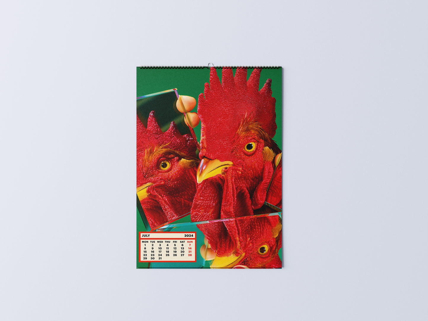 Toiletpaper Calendar 2024
