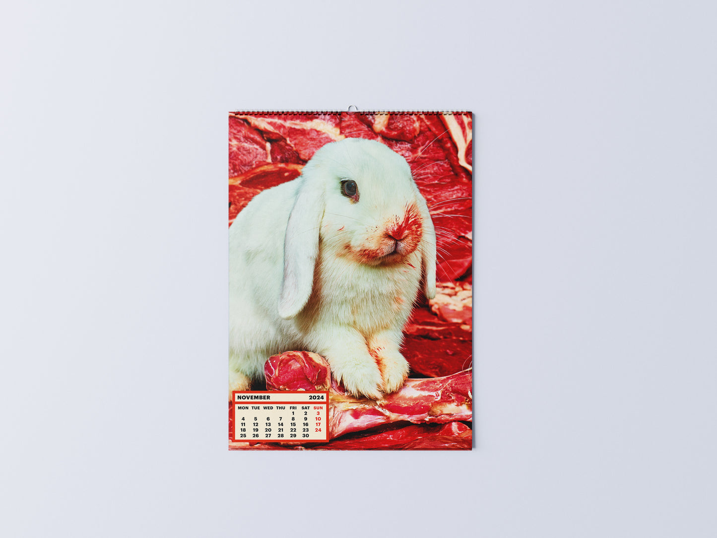 Toiletpaper Calendar 2024