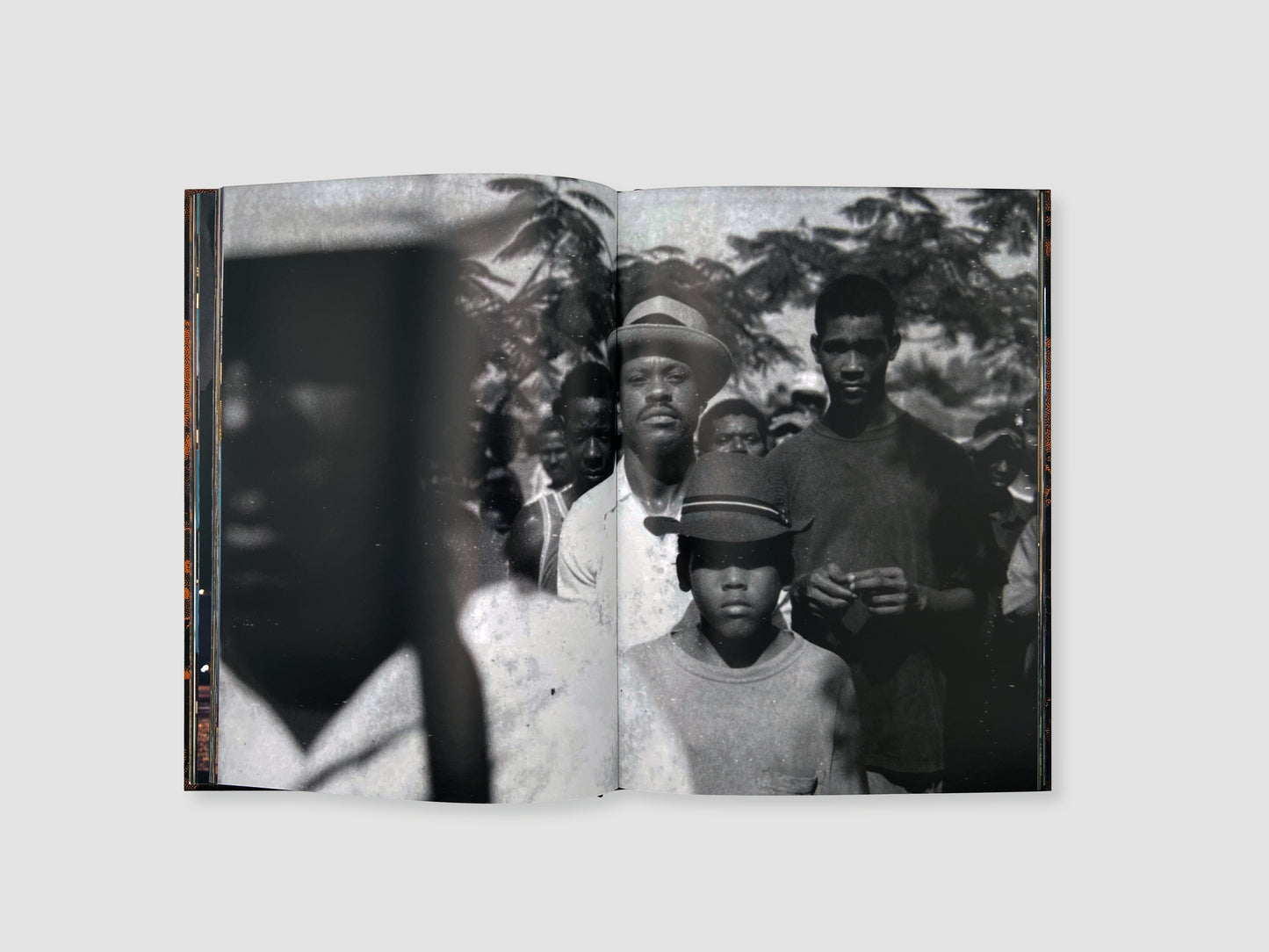 Monograph