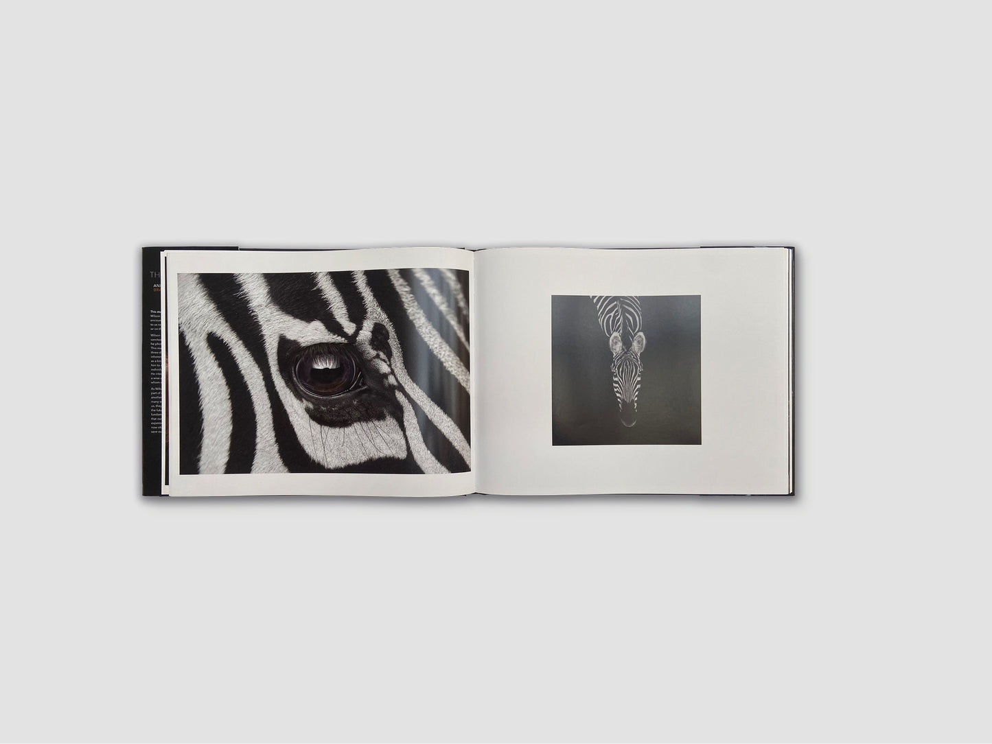 The Other World. Animal Portraits