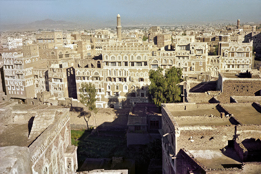 Eight Days in Yemen