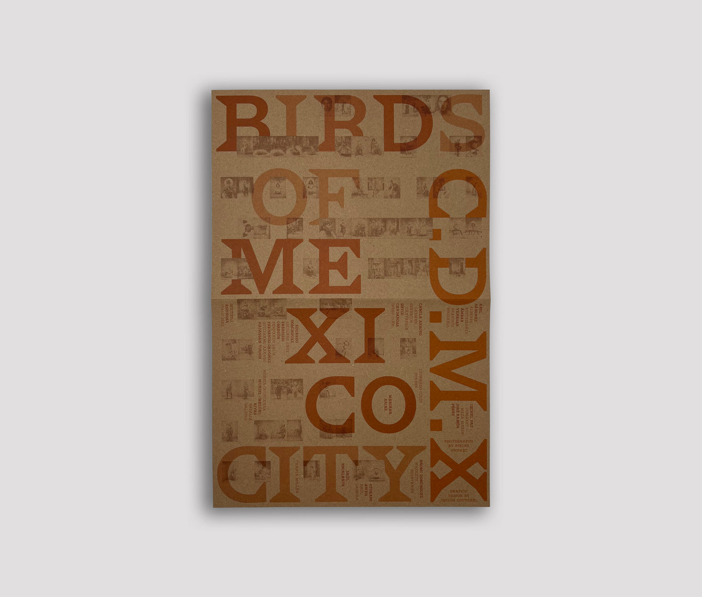 Birds of Mexico City