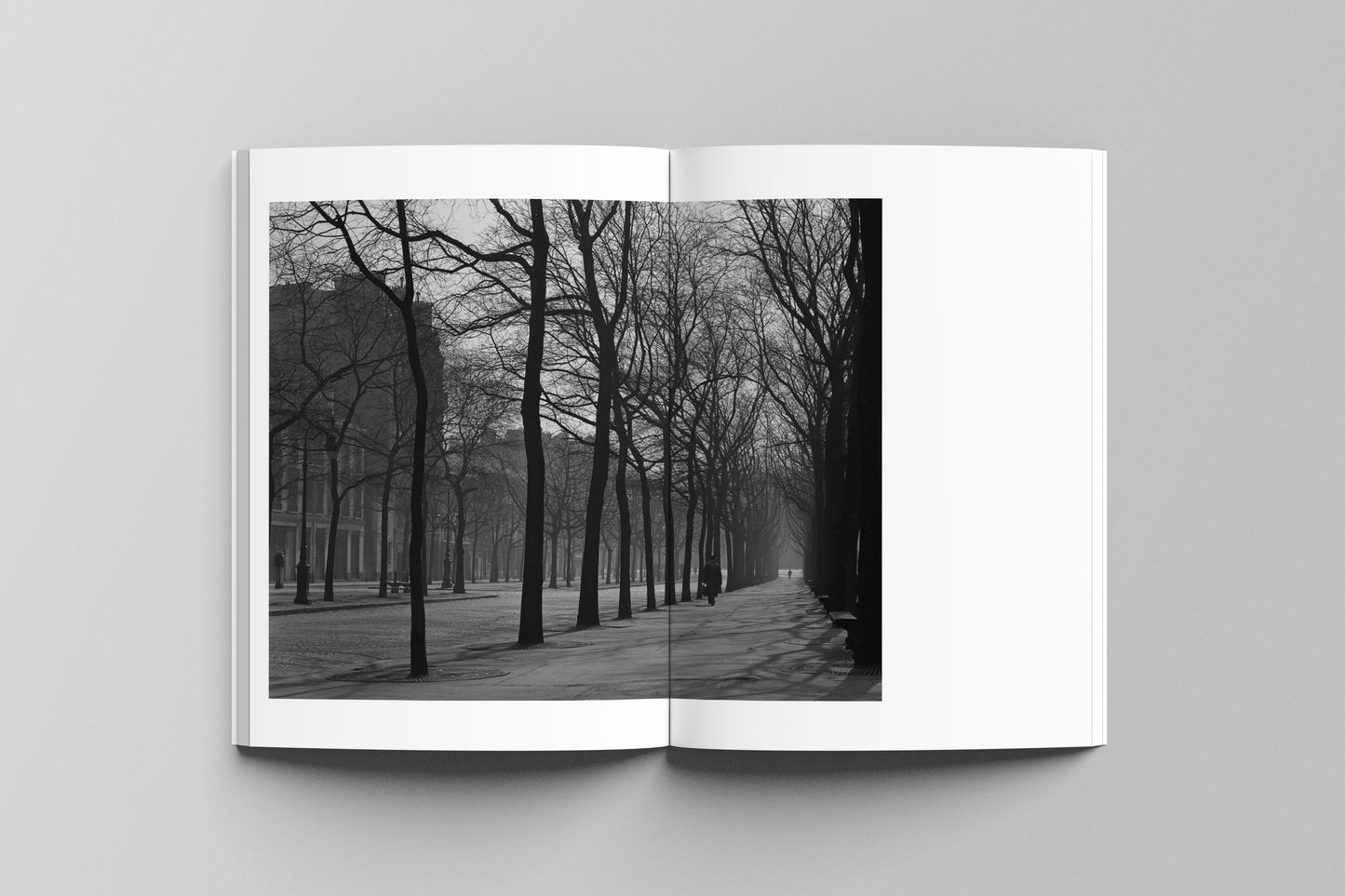 Paris: A Love Story 1948-1952