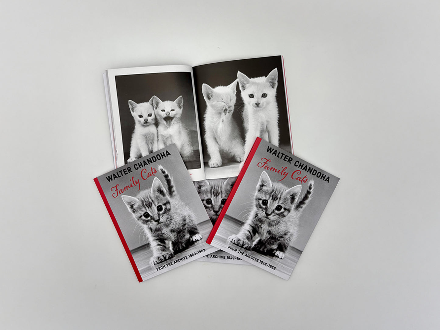 Family Cats from the Archive 1949-1962