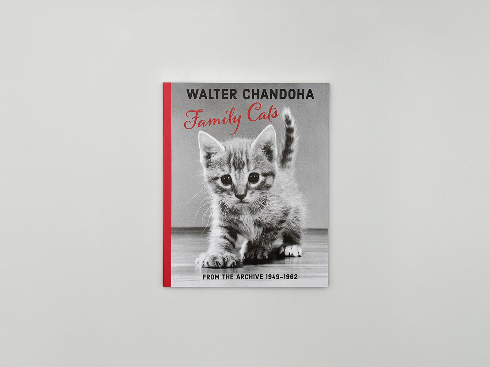 Family Cats from the Archive 1949-1962 – Damiani Books
