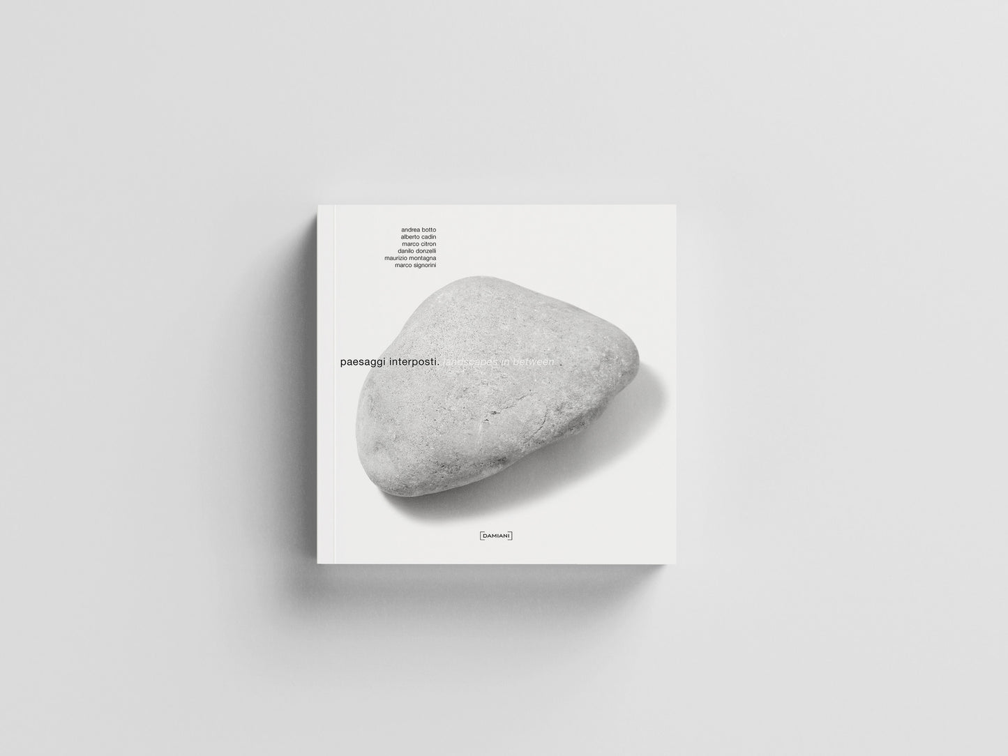 Paesaggi interposti. Landscapes in between Default Title