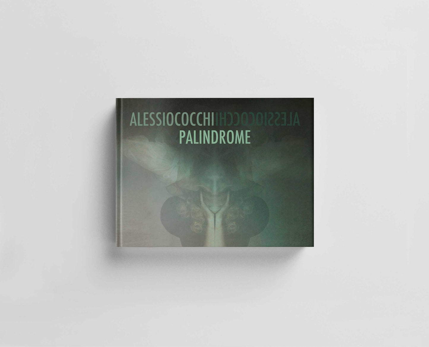 Palindrome Default Title