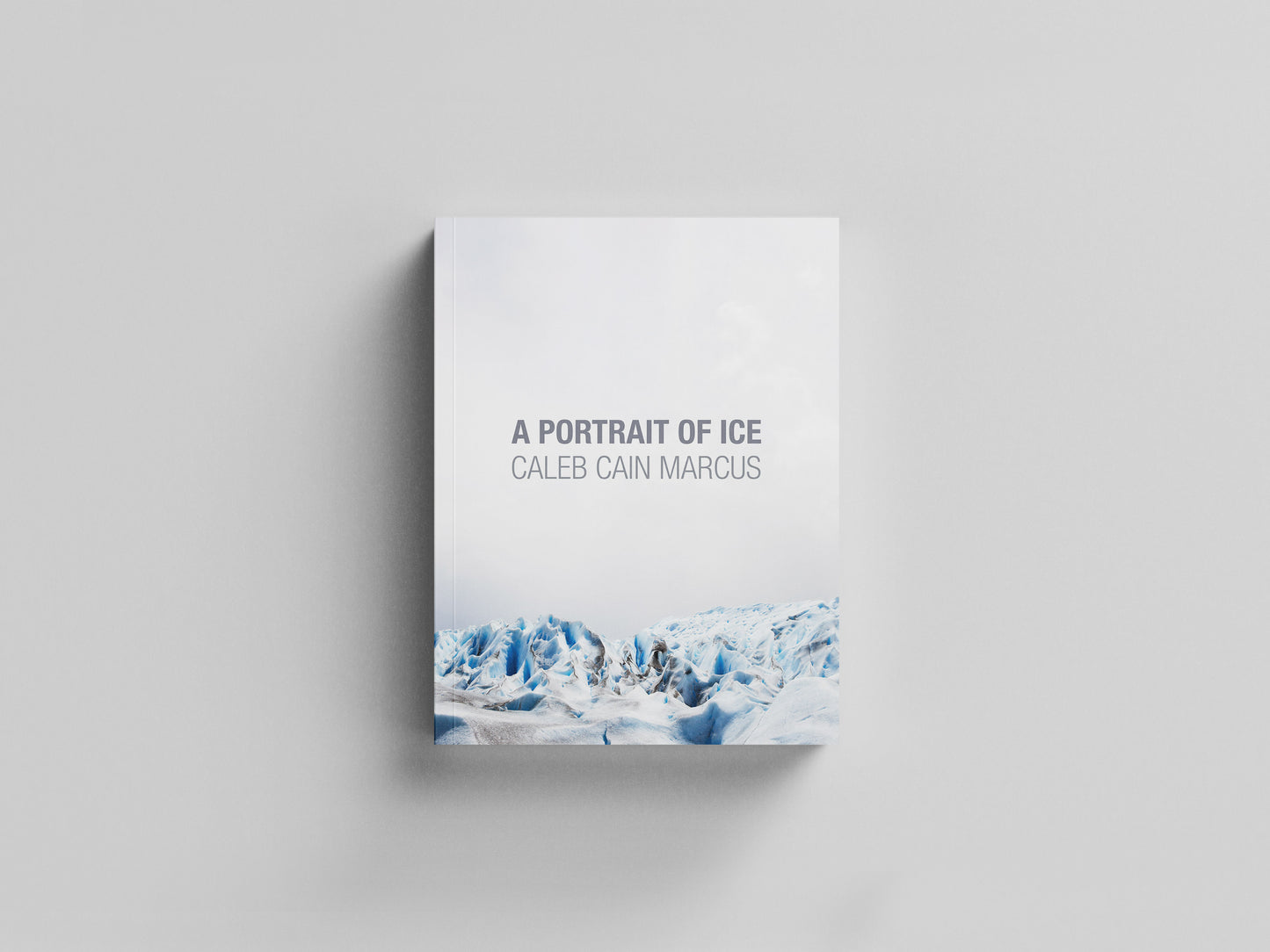 A Portrait of Ice Default Title