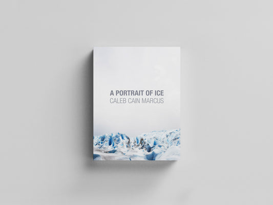 A Portrait of Ice Default Title