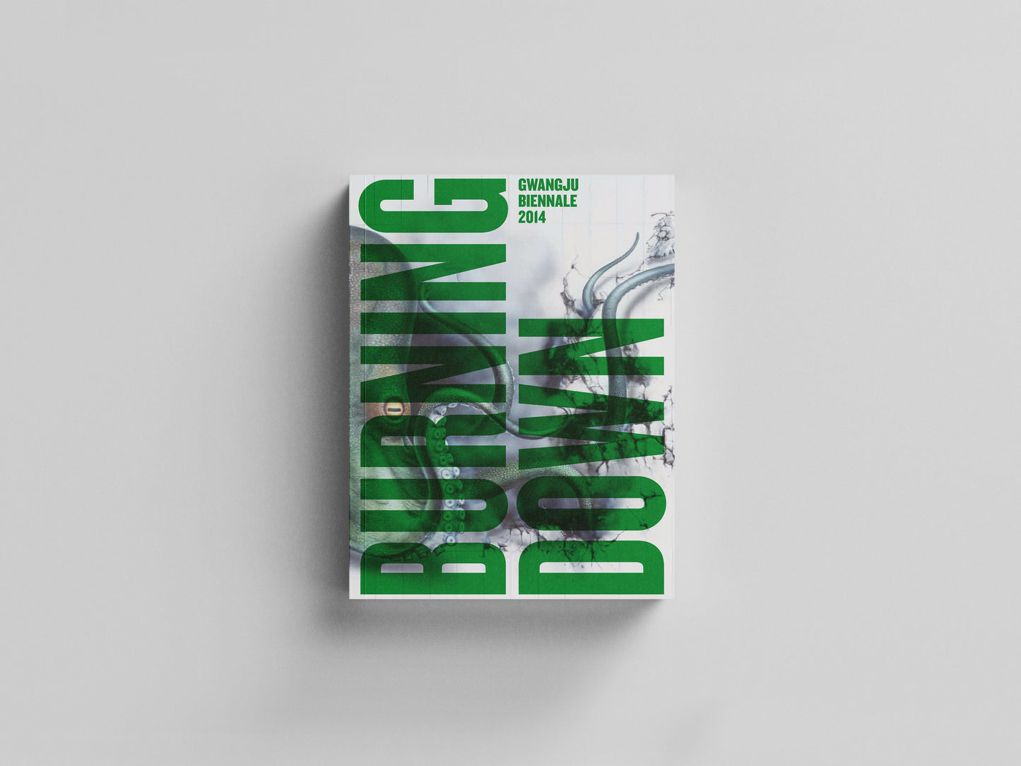 Gwangju Biennale 2014. Burning Down The House Default Title