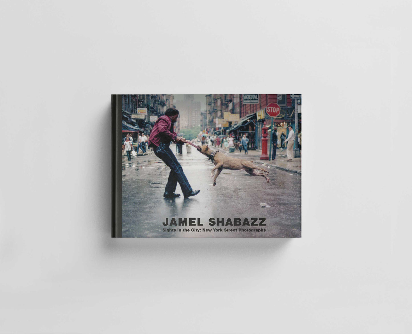 Sights in the City: New York Street Photographs Default Title