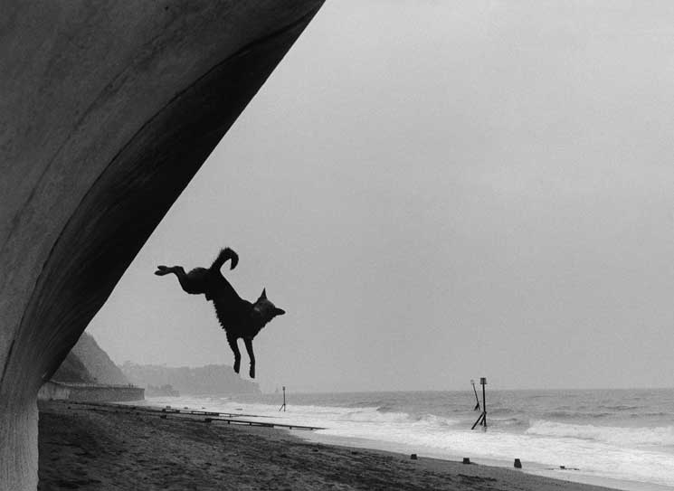 Roger A Deakins alla Leica Gallery Los Angeles