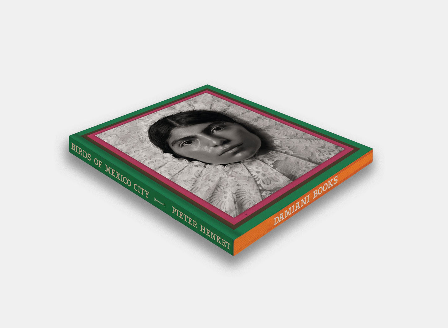 Birds of Mexico City