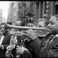 Jazz | Collector's Edition