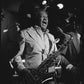 Jazz | Collector's Edition