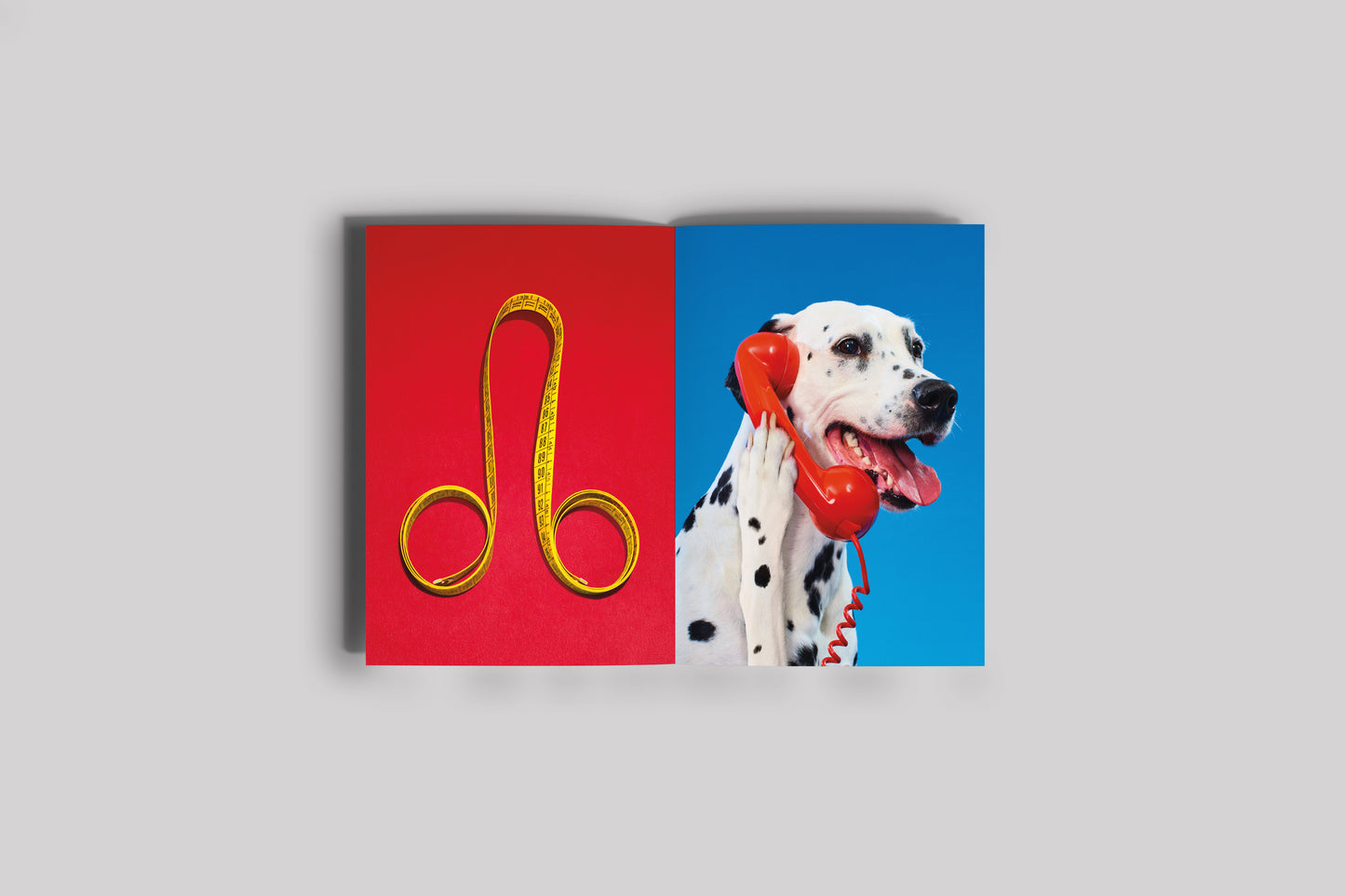 Toiletpaper Magazine 21