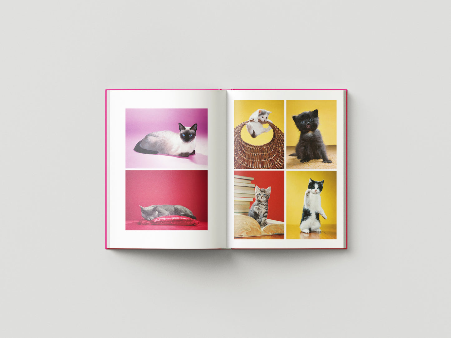 Chromotherapia. Feel-Good Color Photography