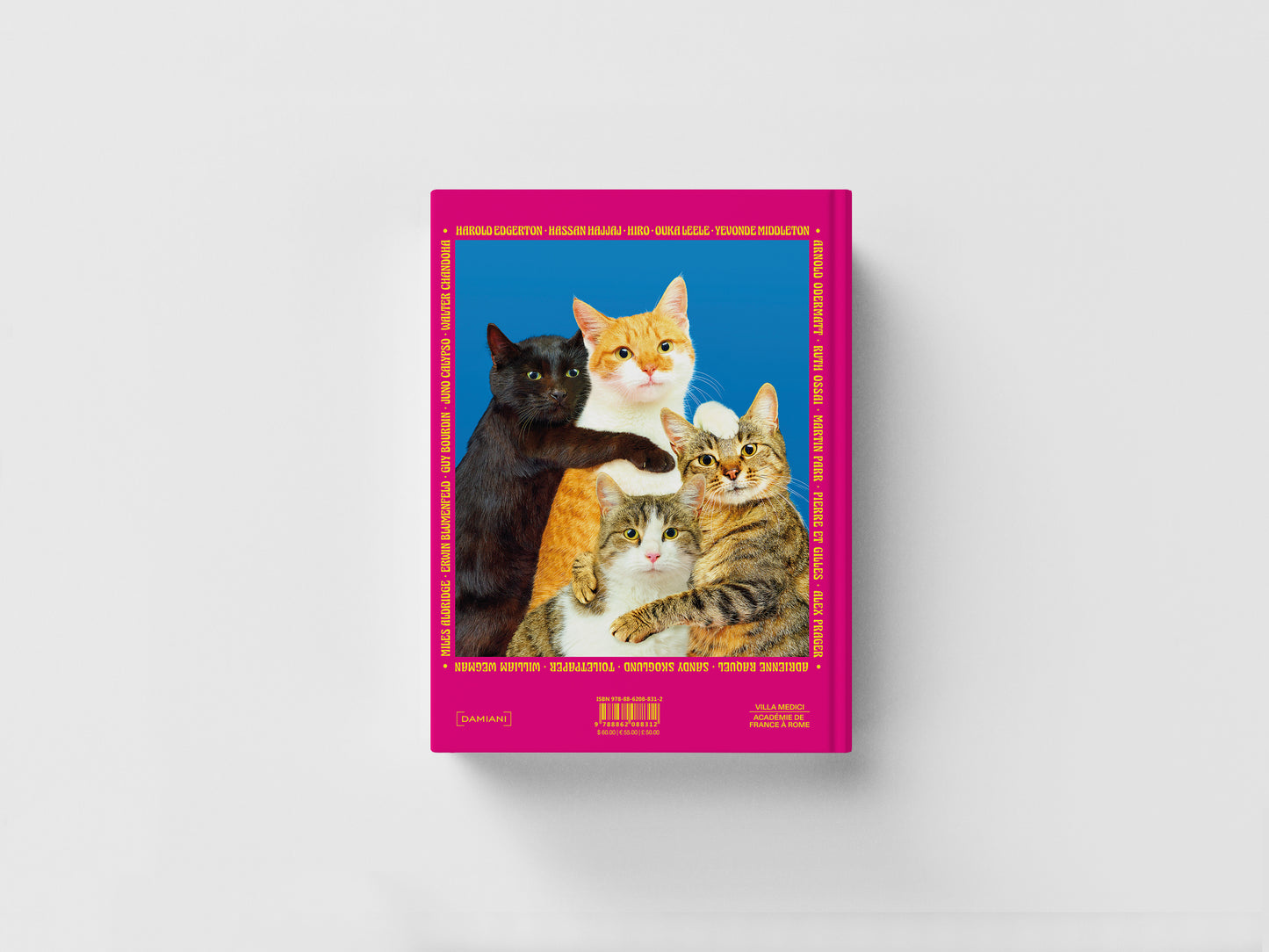 Chromotherapia. Feel-Good Color Photography