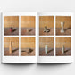 Morandi's Objects. The Complete Archive of Casa Morandi. Wood-Grained Pitcher | Collector's Edition