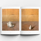 Morandi's Objects. The Complete Archive of Casa Morandi. Wood-Grained Pitcher | Collector's Edition