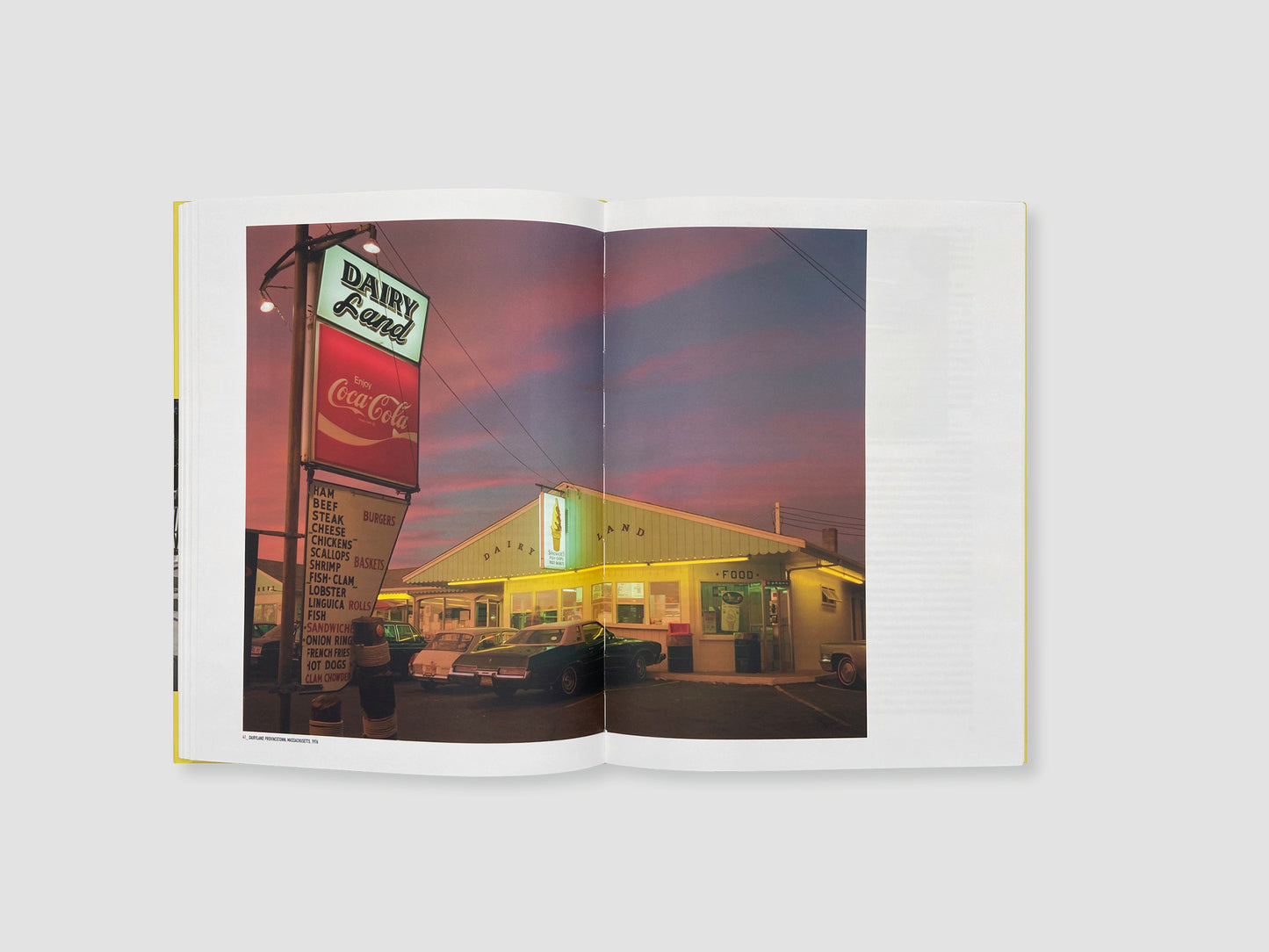 The Pleasure of Seeing. Conversations with Joel Meyerowitz on sixty years in the life of photography | Signed copy