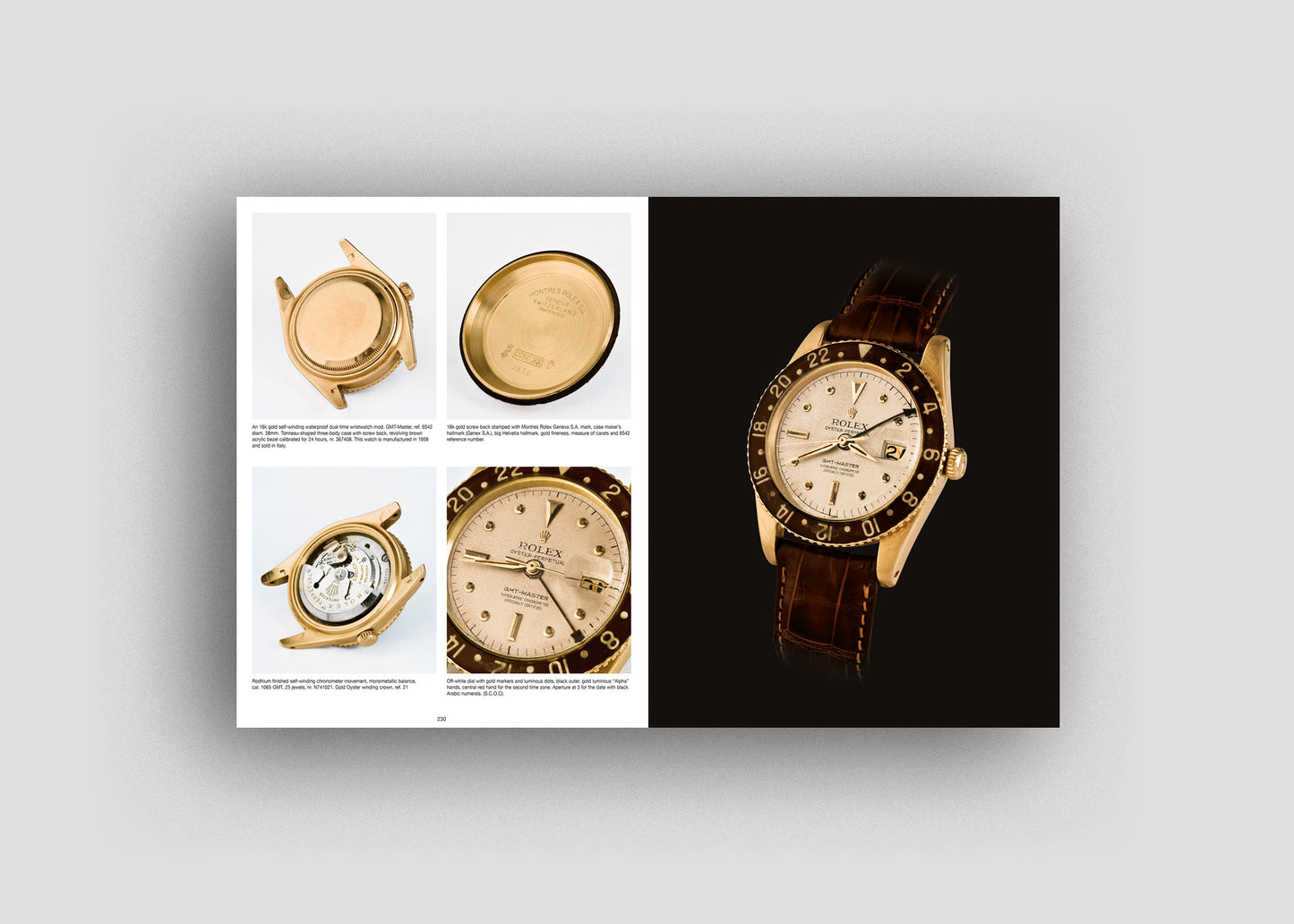 100 Superlative Rolex Watches | New Edition