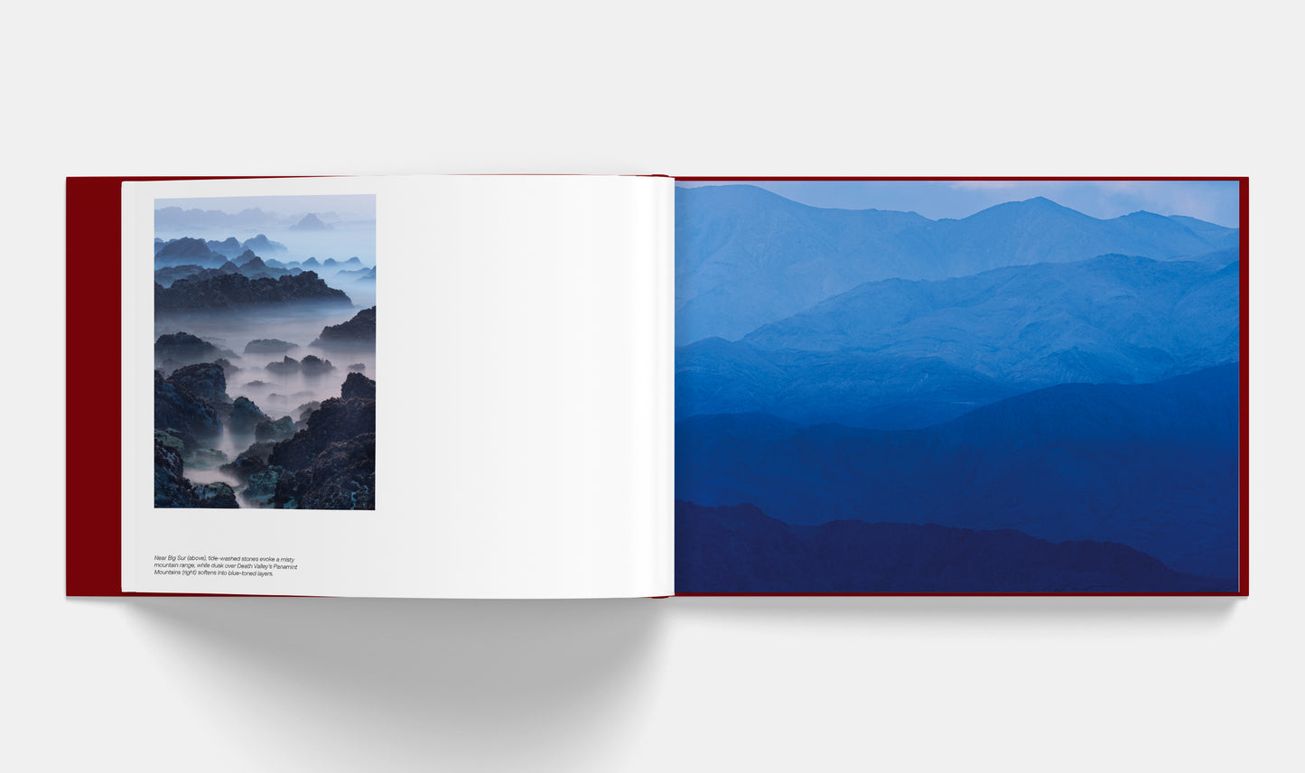 Patterns: Art of the Natural World | Signed copy