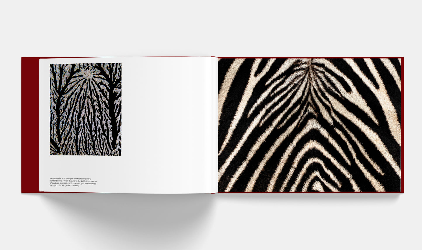 Patterns: Art of the Natural World | Signed copy