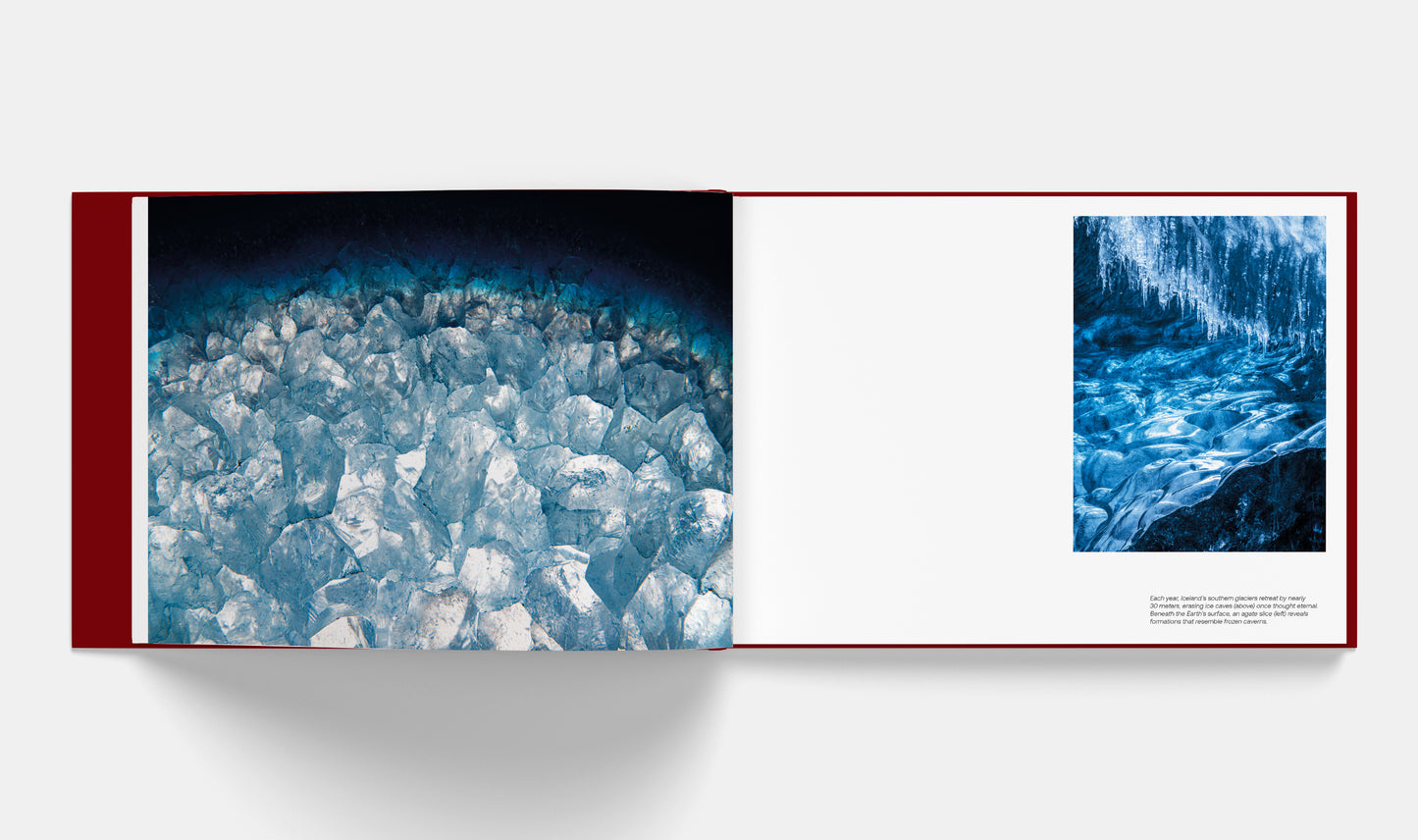 Patterns: Art of the Natural World | Signed copy