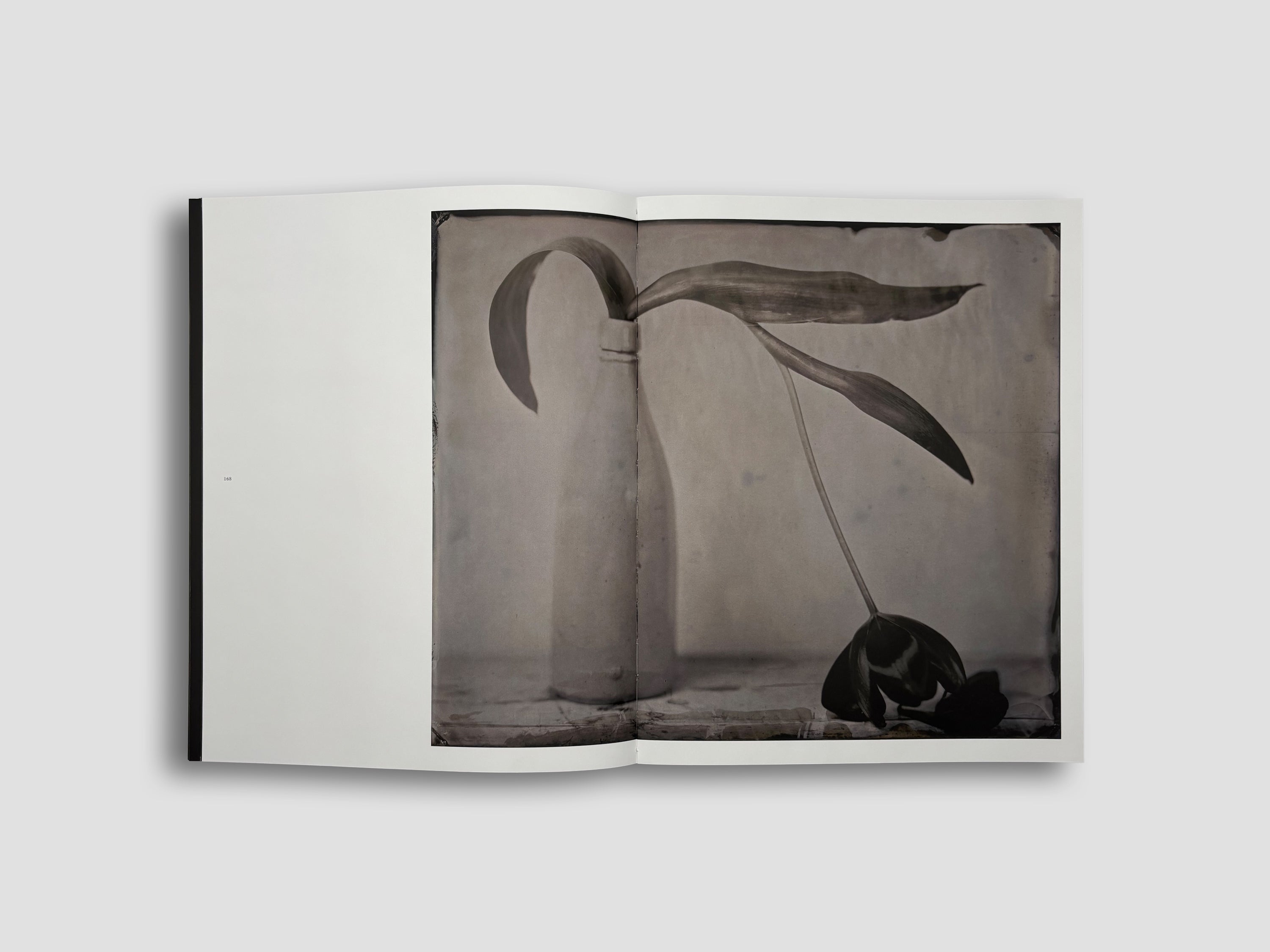 The Chemistry of Memory – Damiani Books
