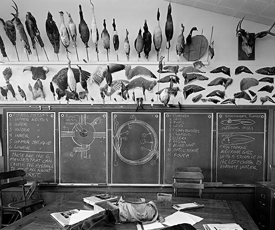 Place, History, and the Archive