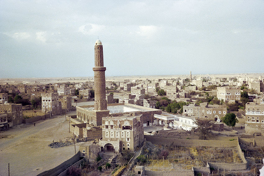 Eight Days in Yemen