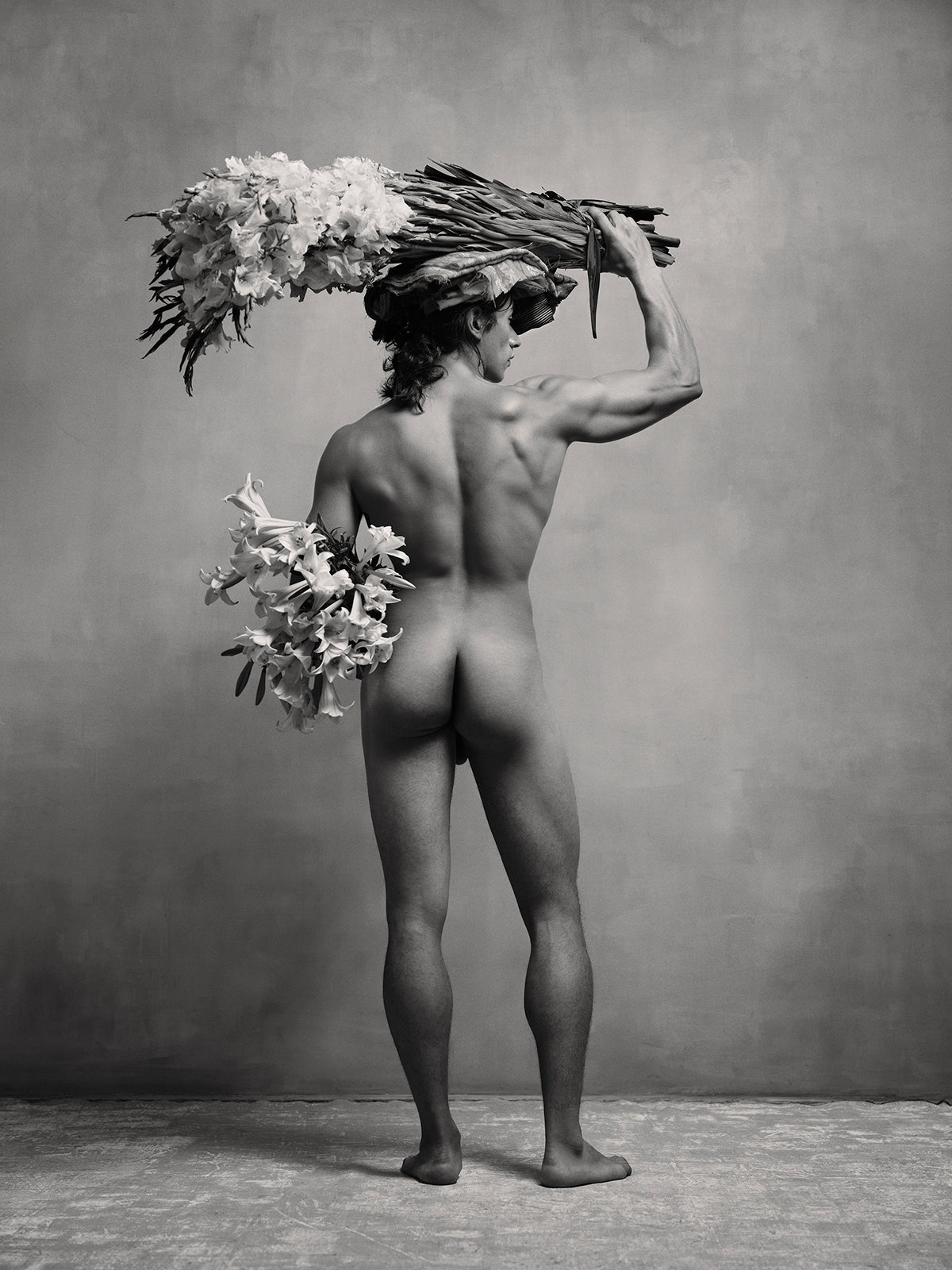 Birds of Mexico City