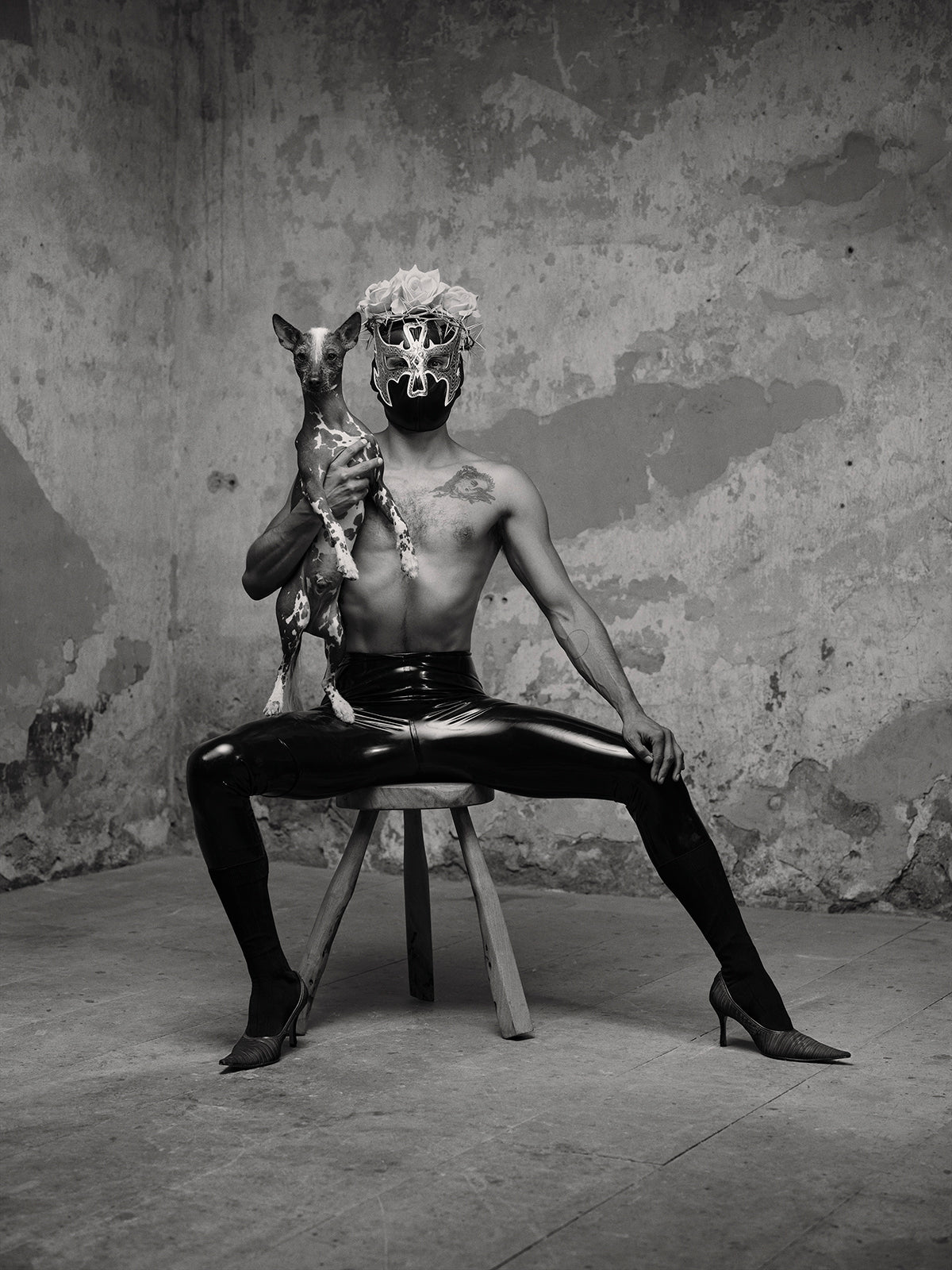 Birds of Mexico City