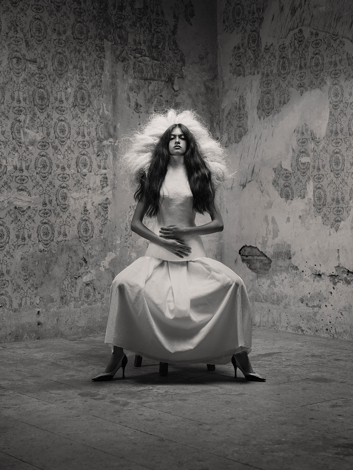 Birds of Mexico City