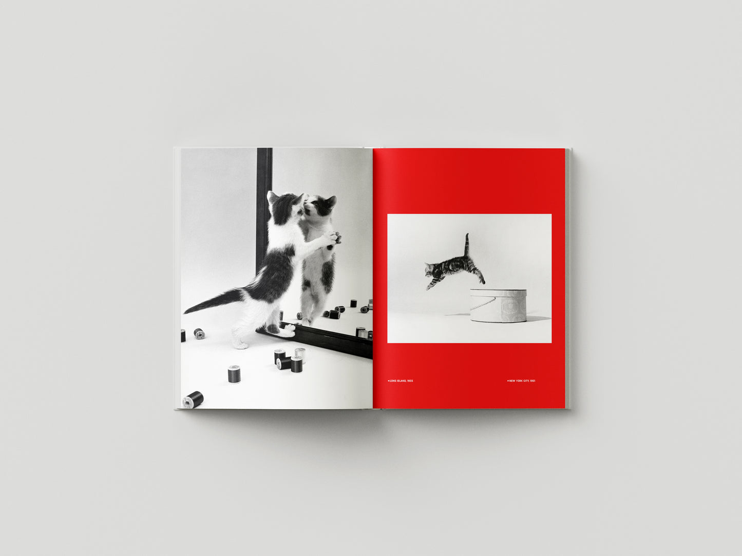 Family Cats from the Archive 1949-1962