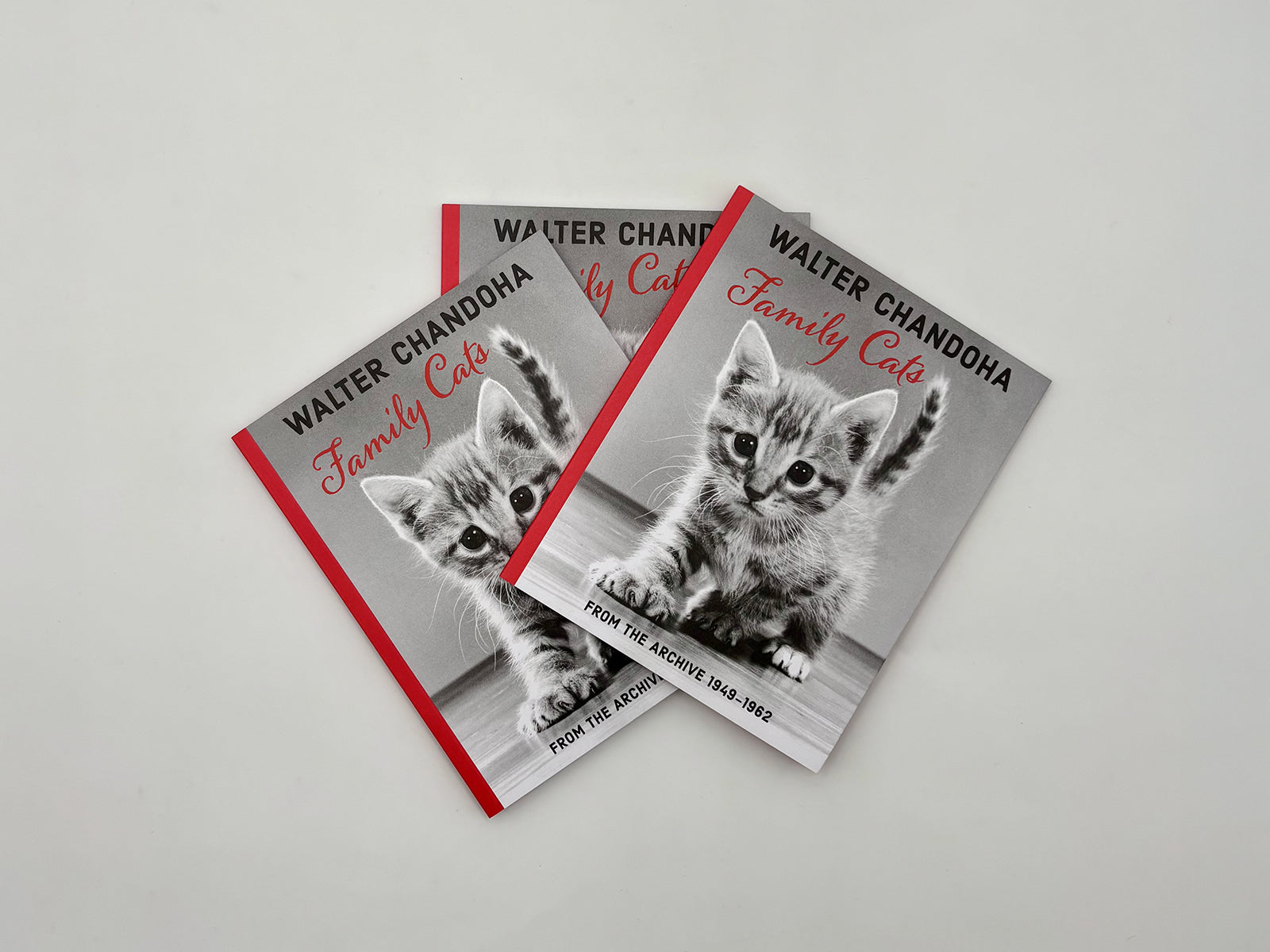Family Cats from the Archive 1949-1962 – Damiani Books