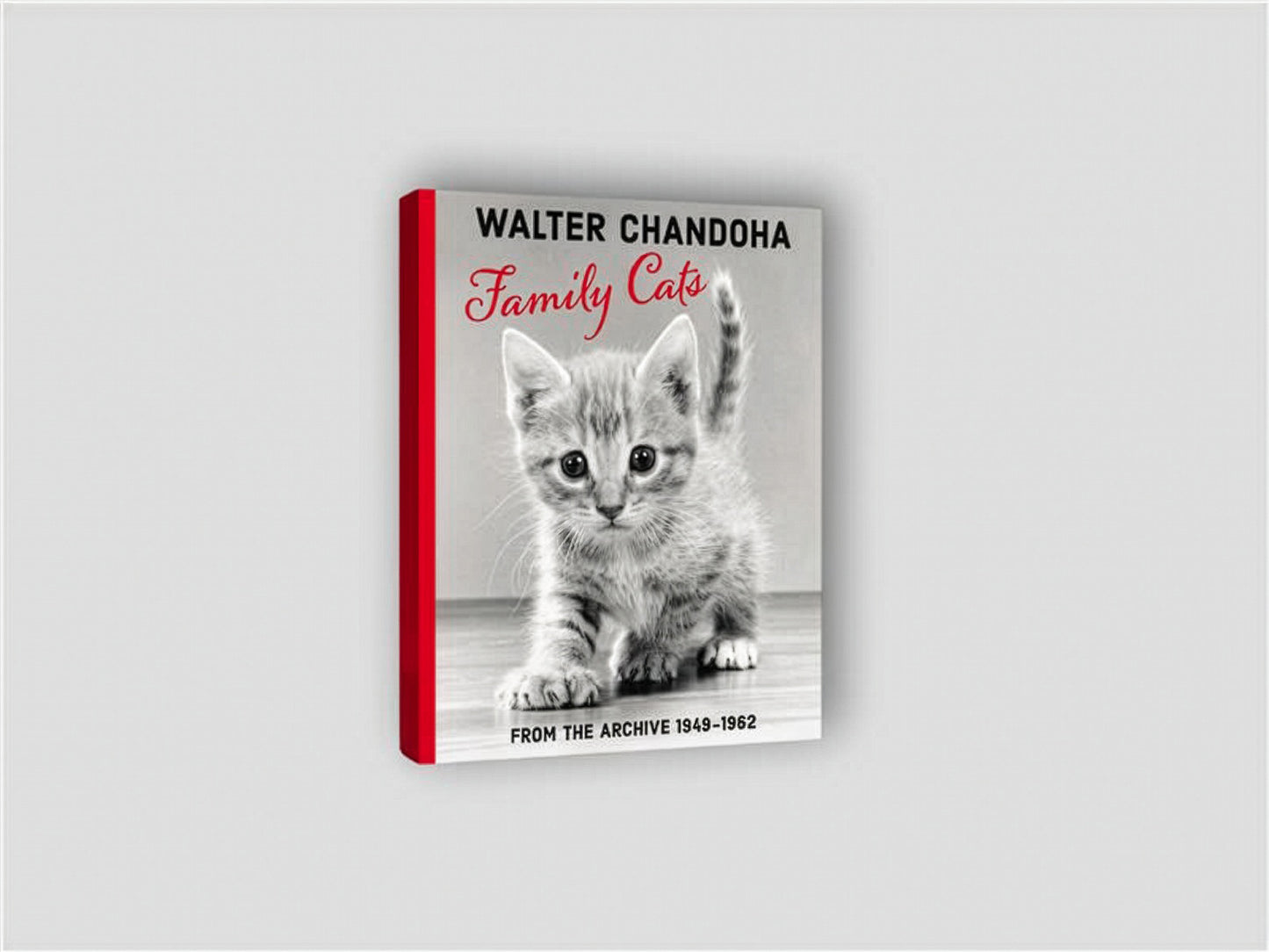 Family Cats from the Archive 1949-1962