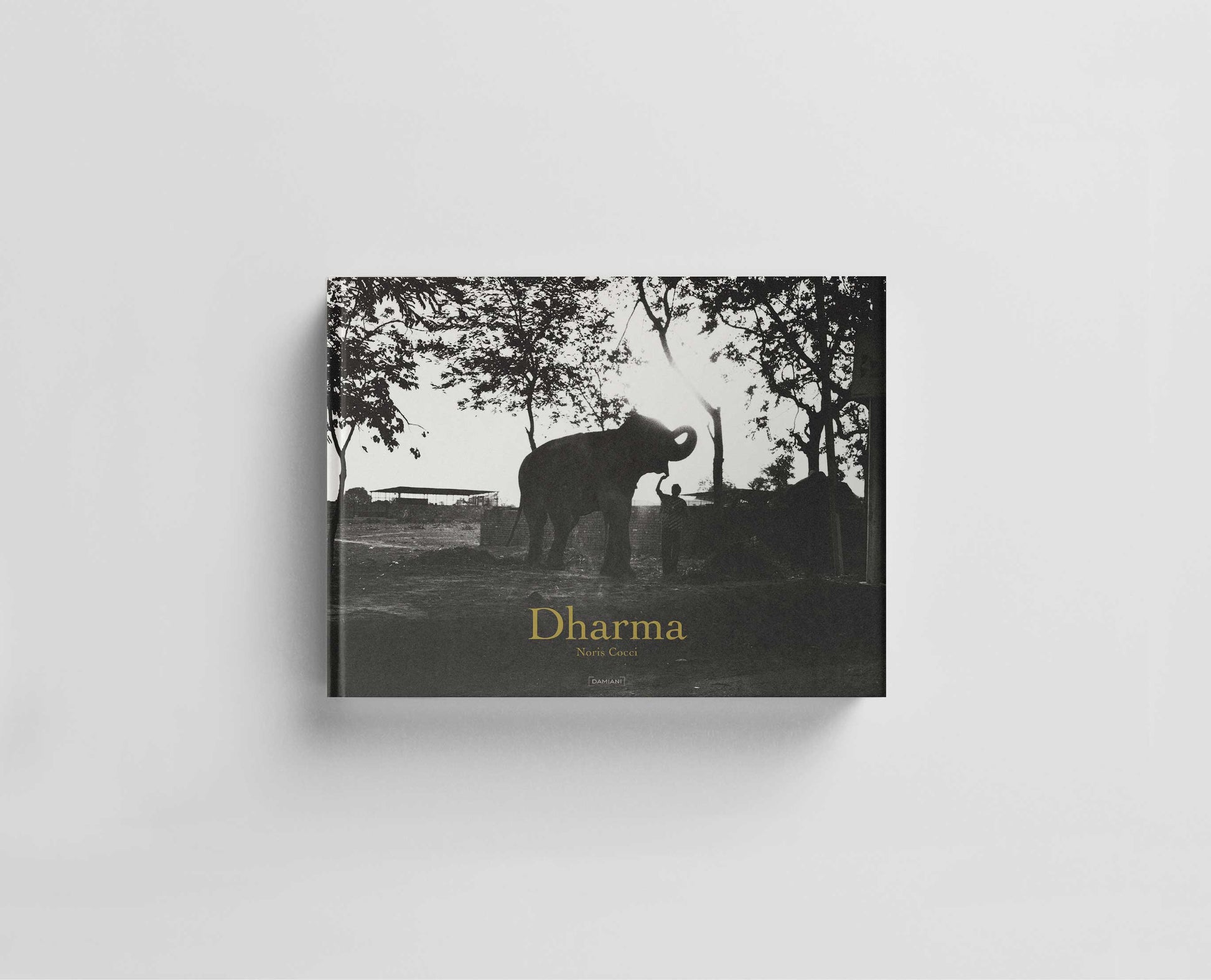 Dharma Default Title