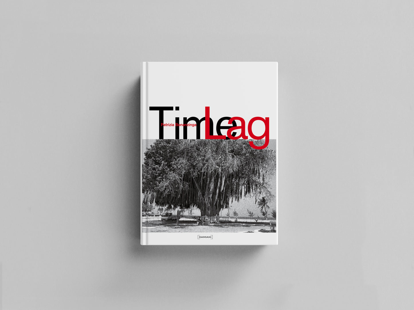 Time Lag Default Title
