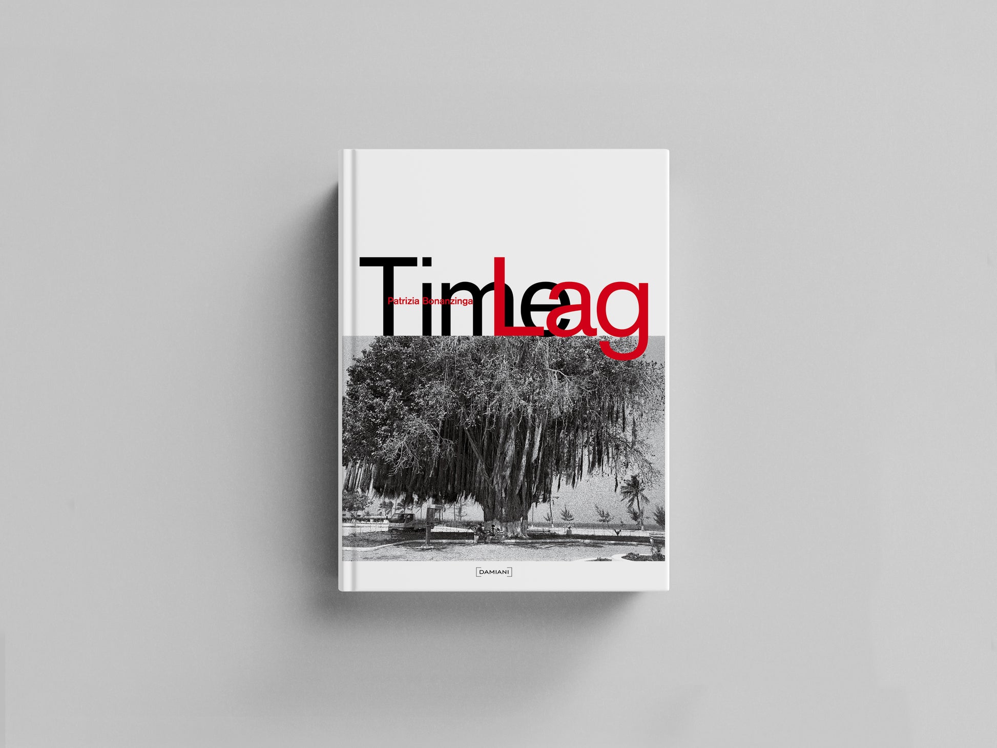 Time Lag Default Title