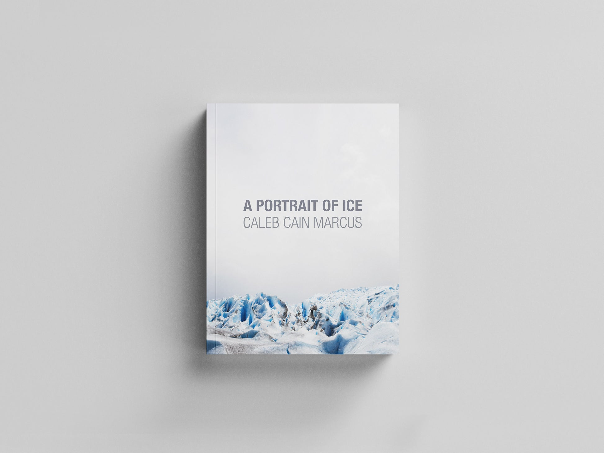 A Portrait of Ice Default Title