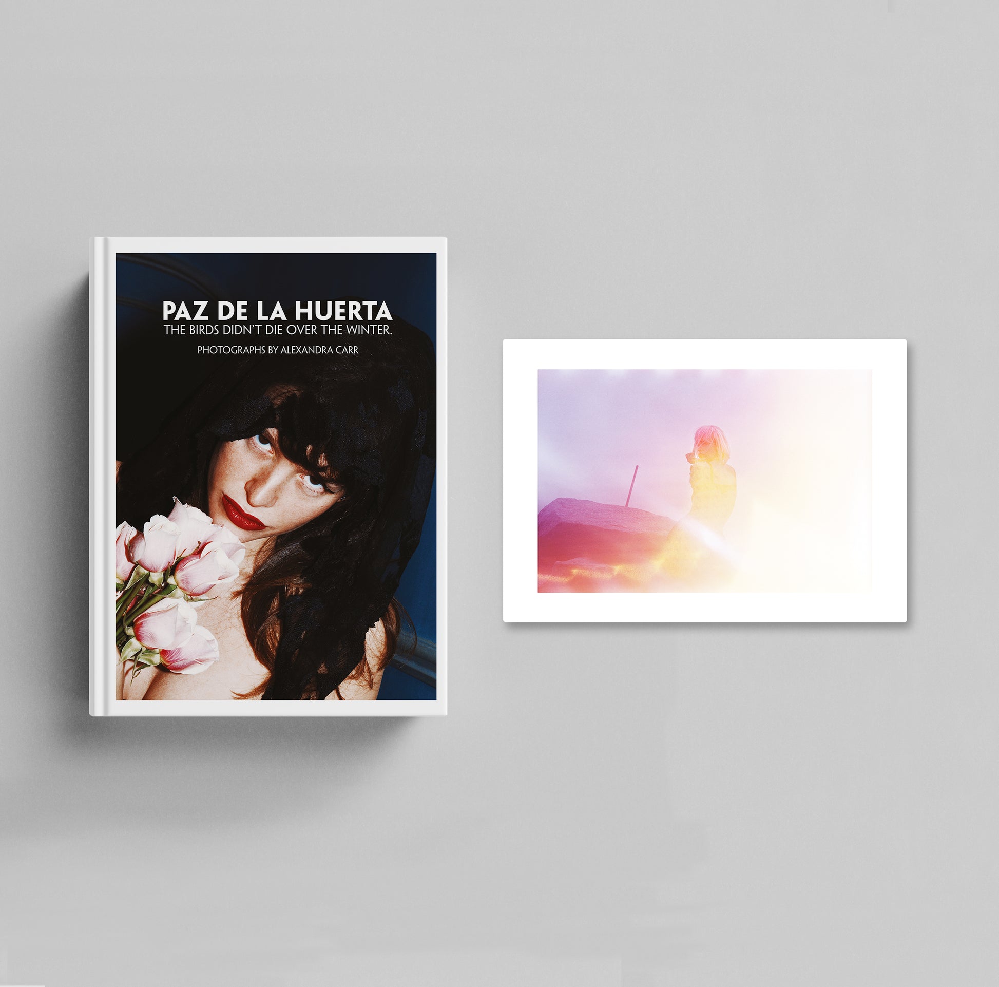 Paz de la Huerta. The Birds didn't die over the winter | Collector's Edition Default Title