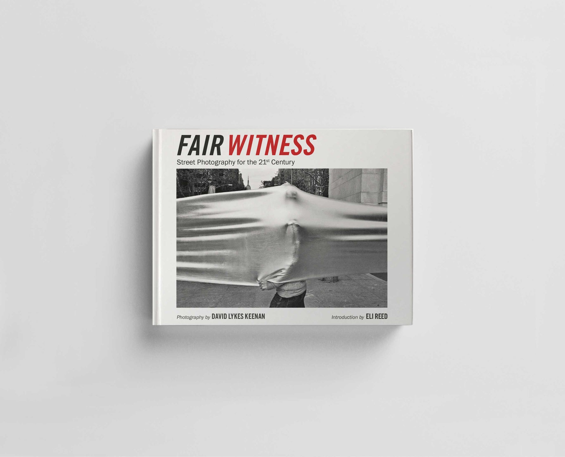 Fair Witness Default Title
