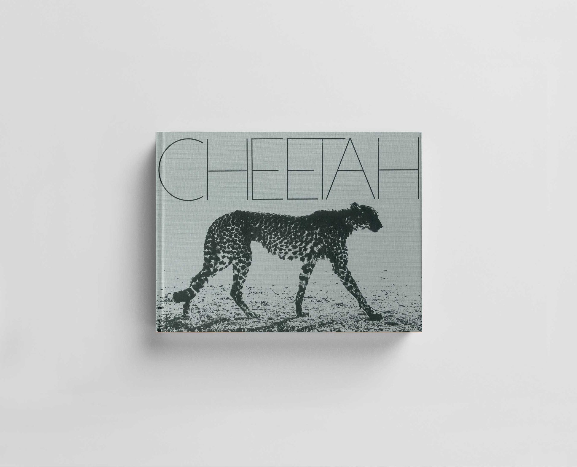 Cheetah Default Title